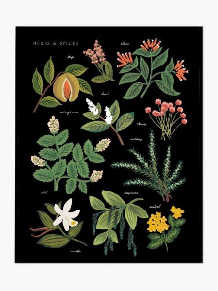 Herbs & Spices Art Print
