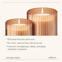 11oz Sylvan Figue Candle
