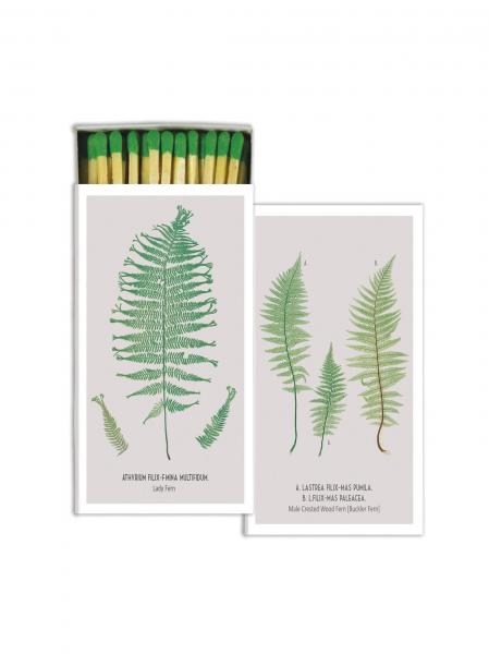 Fern Matches