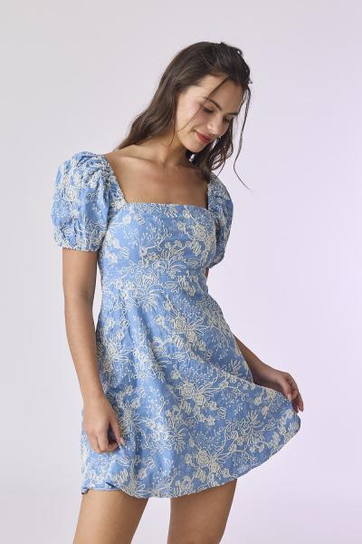 Puff Sleeve Embroidered Dress