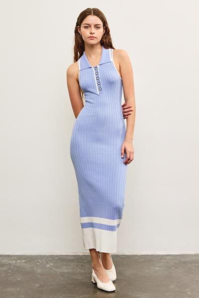 Hawthorne Polo Dress