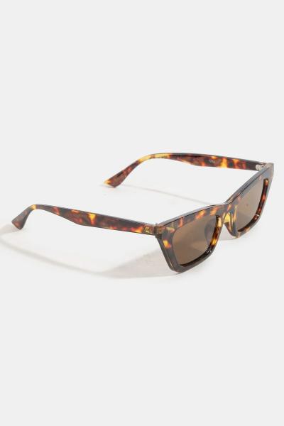 Aberdeen Sunglasses