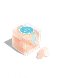 Bubbly Bears - Small Cube