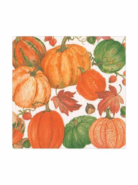 Pumpkin Field White Cocktail Napkins