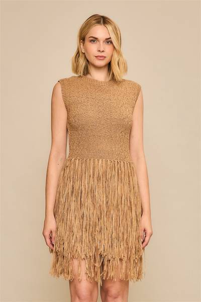 Rhythm Fringe Dress