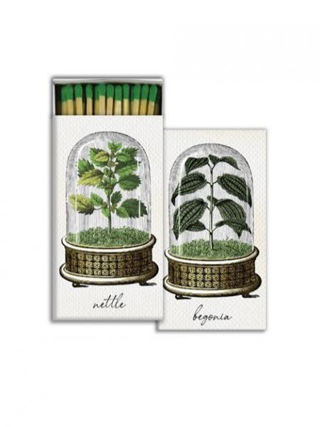 Botanical Cloche Matches