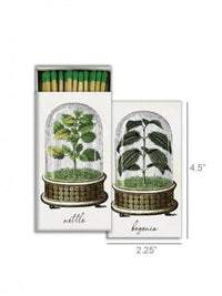 Botanical Cloche Matches