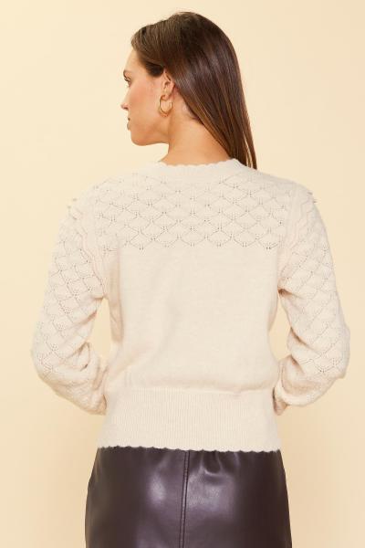 Ruffle Sleeve Pointelle Sweater