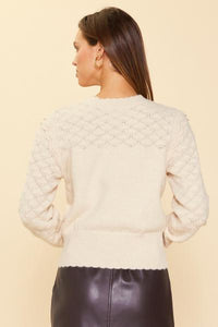 Ruffle Sleeve Pointelle Sweater