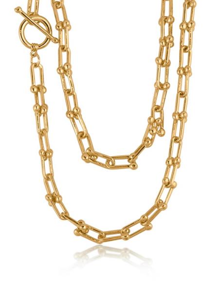 Renata Long Chain Necklace