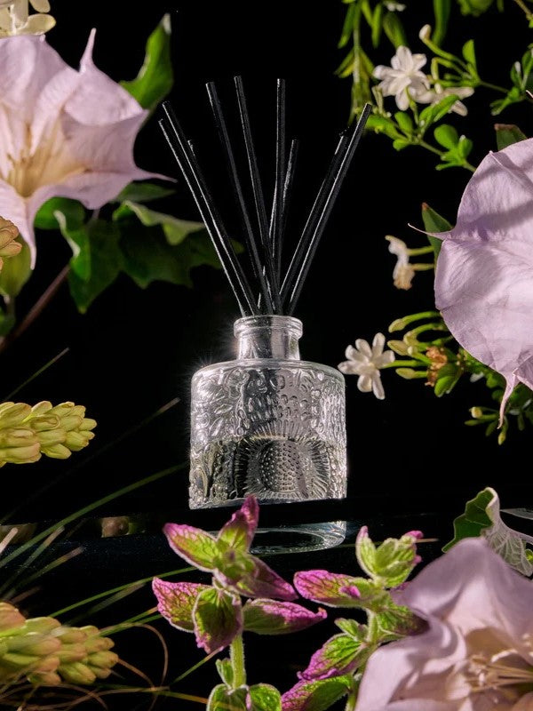 Jasmine Midnight Reed Diffuser