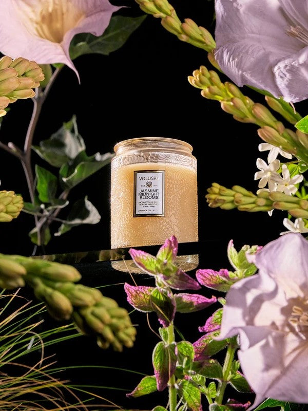 Jasmine Midnight Small Jar Candle