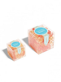 Champagne Bears - Large Cube